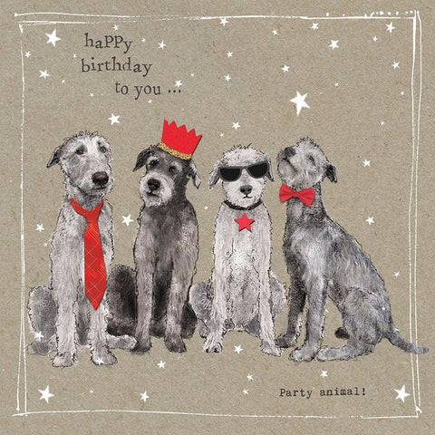 Fancypants Cool Dogs IV White Modern Wood Framed Art Print with Double Matting by Gower, Hammond