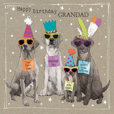 Fancypants Cool Dogs V White Modern Wood Framed Art Print with Double Matting by Gower, Hammond