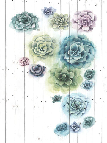Shiplap Succulent Cluster I Black Ornate Wood Framed Art Print with Double Matting by Popp, Grace