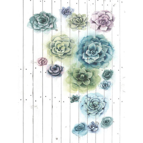 Shiplap Succulent Cluster I Black Modern Wood Framed Art Print by Popp, Grace