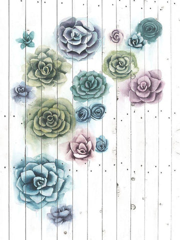 Shiplap Succulent Cluster II White Modern Wood Framed Art Print with Double Matting by Popp, Grace