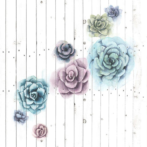 Shiplap Succulent Cluster III Black Modern Wood Framed Art Print with Double Matting by Popp, Grace