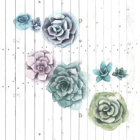 Shiplap Succulent Cluster IV White Modern Wood Framed Art Print by Popp, Grace