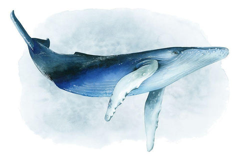 Watercolor Humpback I White Modern Wood Framed Art Print with Double Matting by Popp, Grace