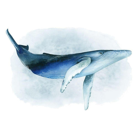 Watercolor Humpback I Black Modern Wood Framed Art Print by Popp, Grace