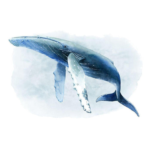 Watercolor Humpback II Black Modern Wood Framed Art Print by Popp, Grace