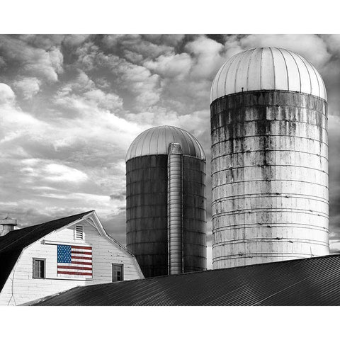 Flags of Our Farmers II Gold Ornate Wood Framed Art Print with Double Matting by McLoughlin, James