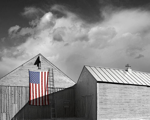 Flags of Our Farmers V Black Ornate Wood Framed Art Print with Double Matting by McLoughlin, James