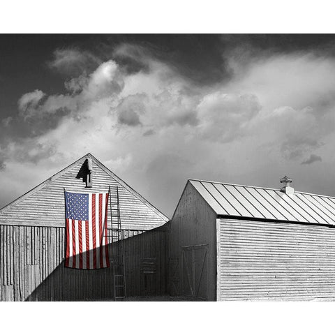 Flags of Our Farmers V Gold Ornate Wood Framed Art Print with Double Matting by McLoughlin, James