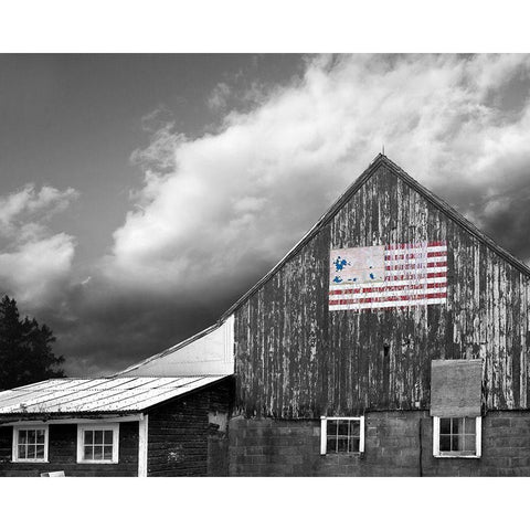 Flags of Our Farmers VII White Modern Wood Framed Art Print by McLoughlin, James