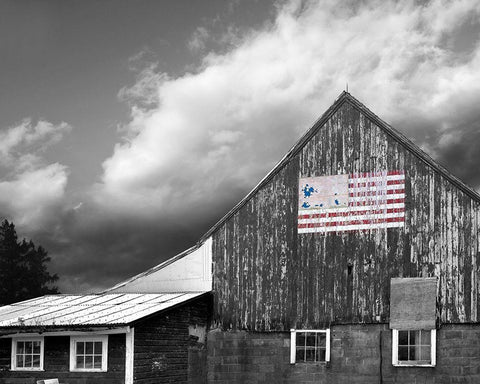 Flags of Our Farmers VII Black Ornate Wood Framed Art Print with Double Matting by McLoughlin, James