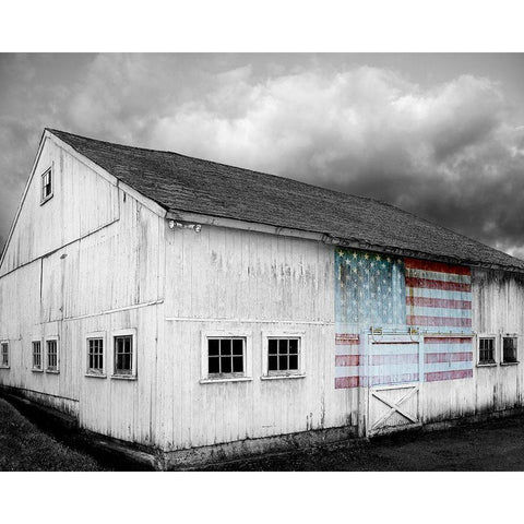 Flags of Our Farmers VIII Black Modern Wood Framed Art Print with Double Matting by McLoughlin, James