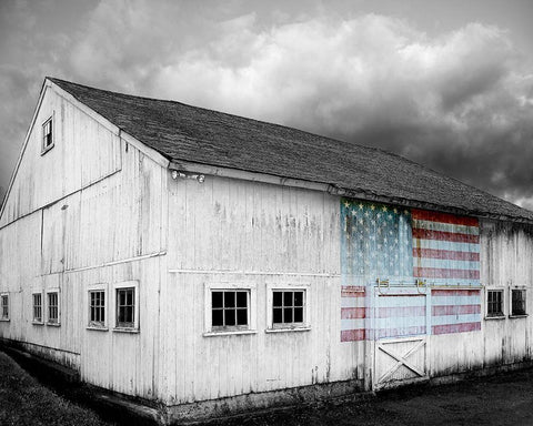 Flags of Our Farmers VIII White Modern Wood Framed Art Print with Double Matting by McLoughlin, James