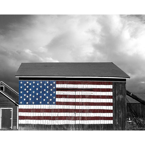 Flags of Our Farmers IX Black Modern Wood Framed Art Print with Double Matting by McLoughlin, James