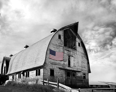 Flags of Our Farmers X White Modern Wood Framed Art Print with Double Matting by McLoughlin, James