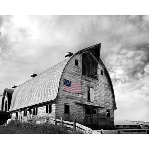 Flags of Our Farmers X White Modern Wood Framed Art Print by McLoughlin, James