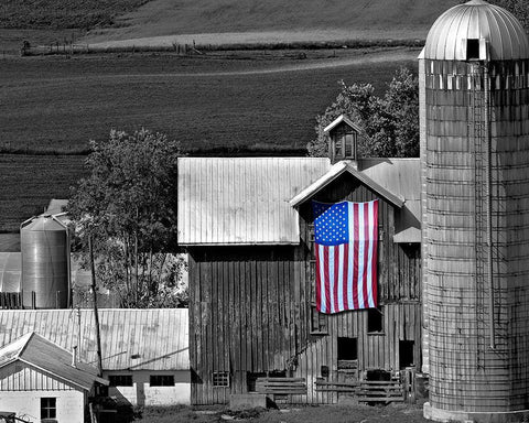 Flags of Our Farmers XI White Modern Wood Framed Art Print with Double Matting by McLoughlin, James