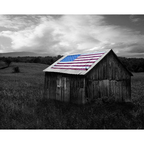 Flags of Our Farmers XII Black Modern Wood Framed Art Print by McLoughlin, James