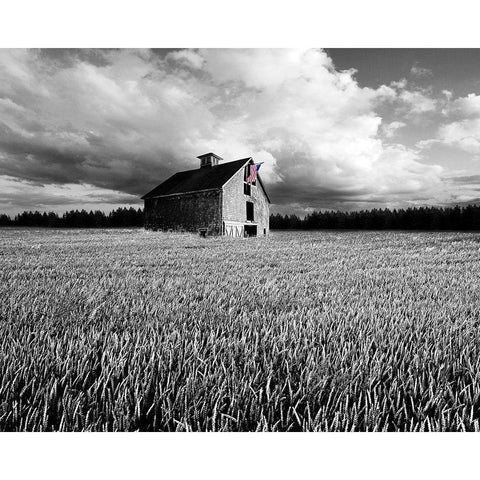 Flags of Our Farmers XIII Black Modern Wood Framed Art Print with Double Matting by McLoughlin, James