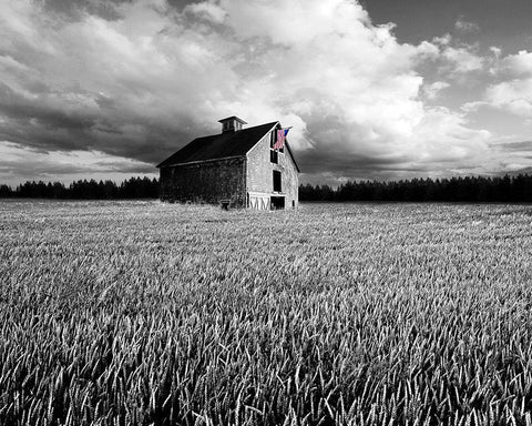 Flags of Our Farmers XIII White Modern Wood Framed Art Print with Double Matting by McLoughlin, James