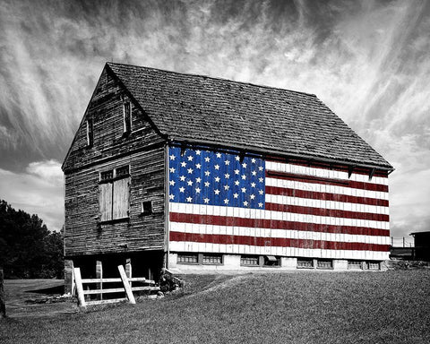 Flags of Our Farmers XIV Black Ornate Wood Framed Art Print with Double Matting by McLoughlin, James