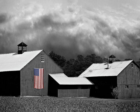 Flags of Our Farmers XV White Modern Wood Framed Art Print with Double Matting by McLoughlin, James