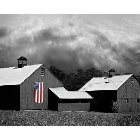 Flags of Our Farmers XV White Modern Wood Framed Art Print by McLoughlin, James