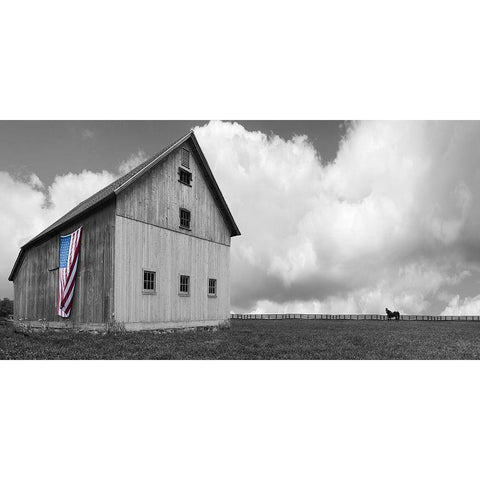 Flags of Our Farmers XVI Black Modern Wood Framed Art Print with Double Matting by McLoughlin, James