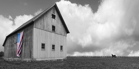 Flags of Our Farmers XVI Black Ornate Wood Framed Art Print with Double Matting by McLoughlin, James