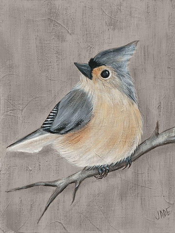 Winter Bird I White Modern Wood Framed Art Print with Double Matting by Reynolds, Jade