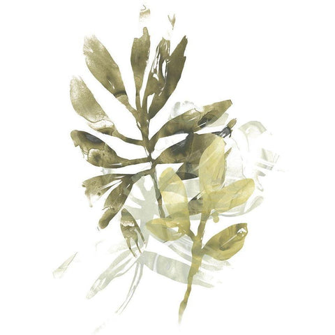 Lichen and Leaves III Black Modern Wood Framed Art Print with Double Matting by Vess, June Erica