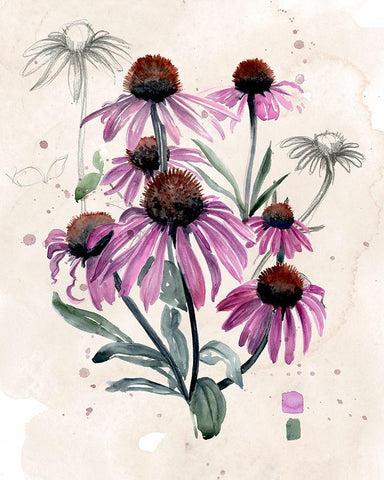 Purple Wildflowers I White Modern Wood Framed Art Print with Double Matting by Parker, Jennifer Paxton