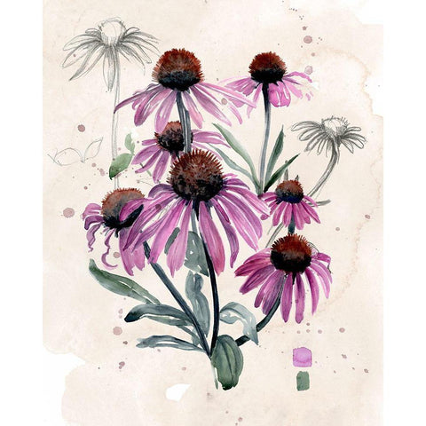 Purple Wildflowers I White Modern Wood Framed Art Print by Parker, Jennifer Paxton