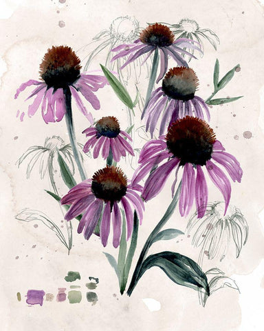 Purple Wildflowers II White Modern Wood Framed Art Print with Double Matting by Parker, Jennifer Paxton