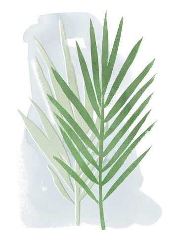 Palm Overlay II White Modern Wood Framed Art Print with Double Matting by Popp, Grace