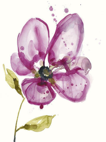 Violet Petals I White Modern Wood Framed Art Print with Double Matting by Goldberger, Jennifer