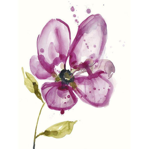 Violet Petals I Black Modern Wood Framed Art Print with Double Matting by Goldberger, Jennifer