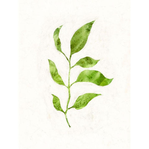 Sapling II Black Modern Wood Framed Art Print with Double Matting by Borges, Victoria