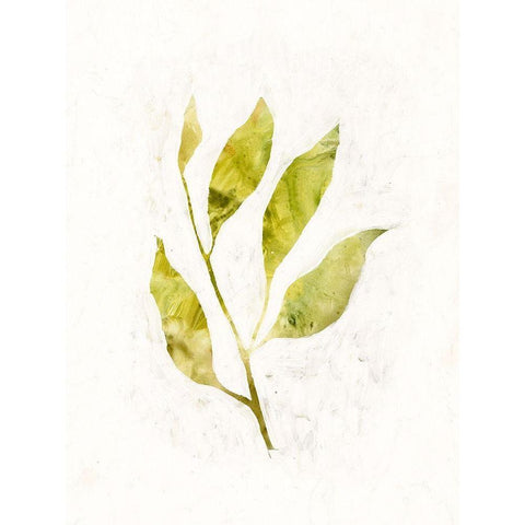 Sapling IV White Modern Wood Framed Art Print by Borges, Victoria