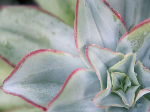 Desert Star I White Modern Wood Framed Art Print with Double Matting by Johnson, Jason