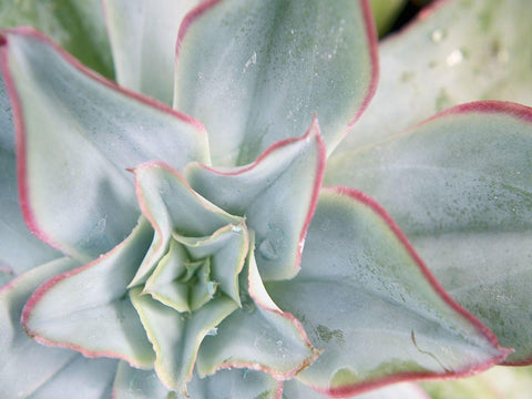 Desert Star II White Modern Wood Framed Art Print with Double Matting by Johnson, Jason