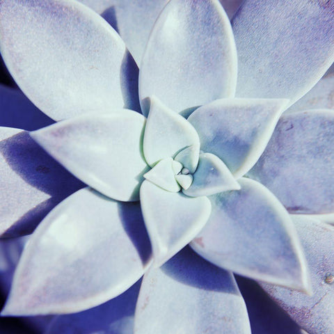 Ultra Violet I Black Modern Wood Framed Art Print by Johnson, Jason