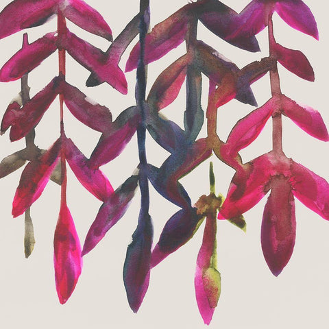 Fuchsia Vine I White Modern Wood Framed Art Print by Zarris, Chariklia