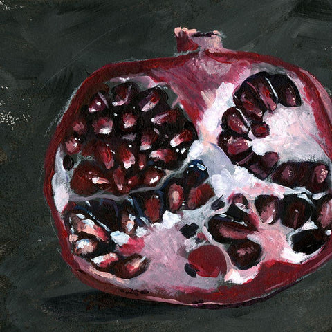 Pomegranate Study on Black I Black Modern Wood Framed Art Print with Double Matting by Parker, Jennifer Paxton