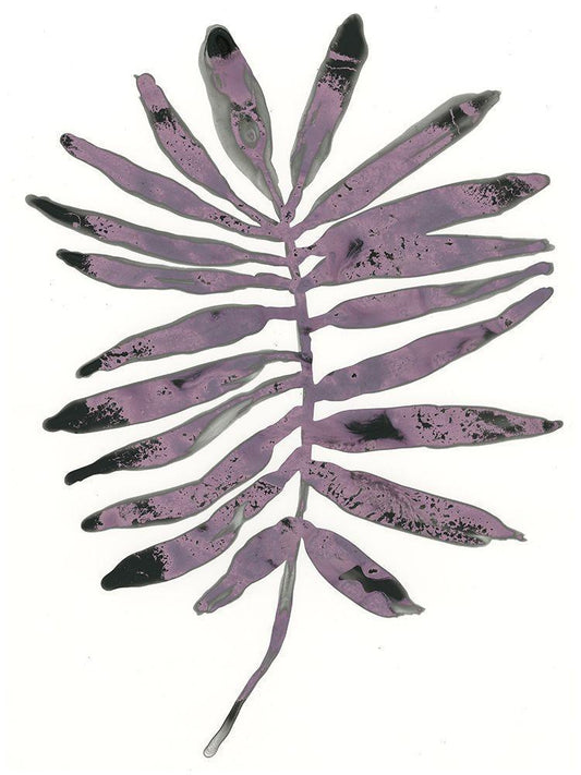 Image Only