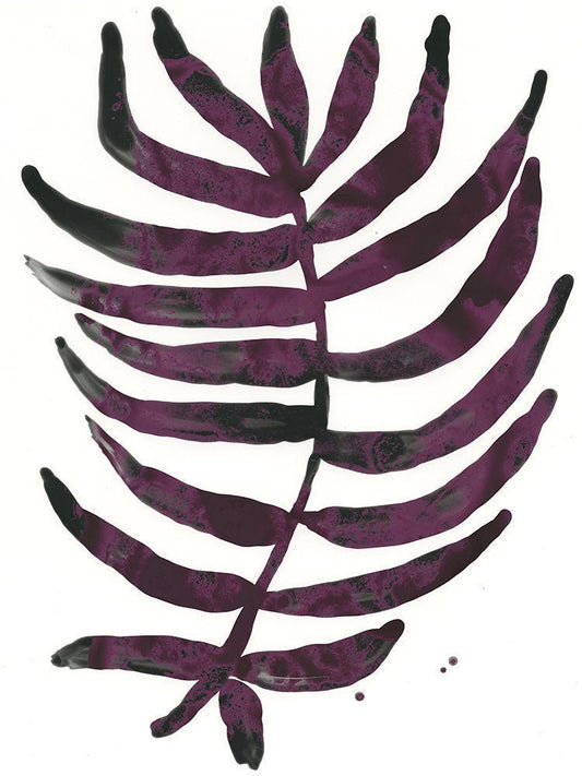 Image Only