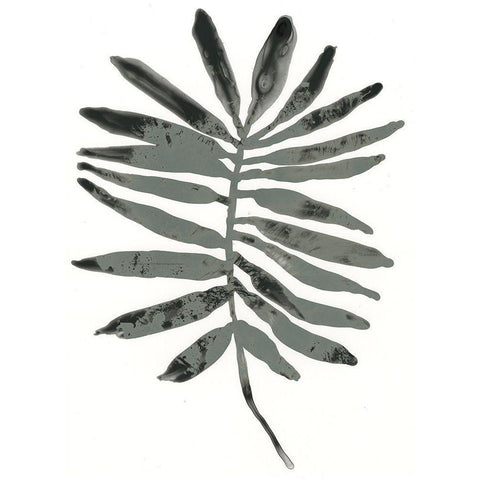 Foliage Fossil VII Black Modern Wood Framed Art Print with Double Matting by Vess, June Erica