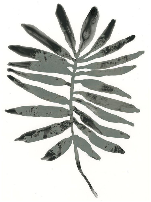 Image Only