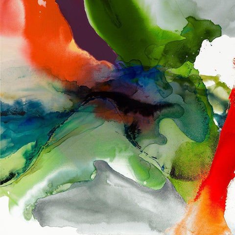Vibrant Terrain II Black Modern Wood Framed Art Print by Jasper, Sisa