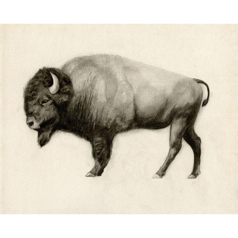 High Plains II White Modern Wood Framed Art Print by Borges, Victoria